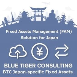 BTC Japan-specific Fixed Assets